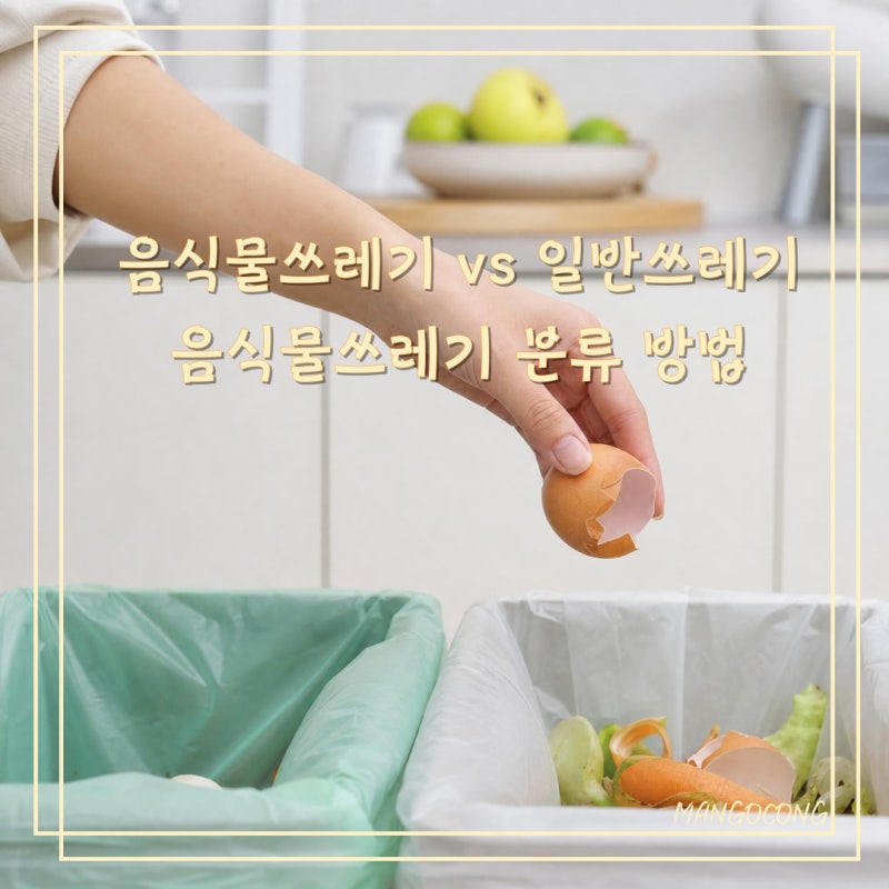 음식물쓰레기 분류 방법 총정리! 달걀껍질·바나나껍질·양파껍질 어디에 버려야 할까?