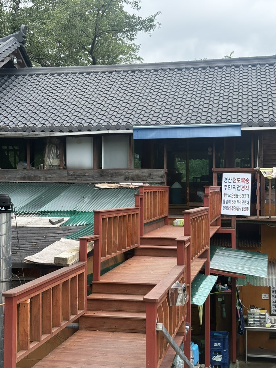 벚꽃산장 사진 4
