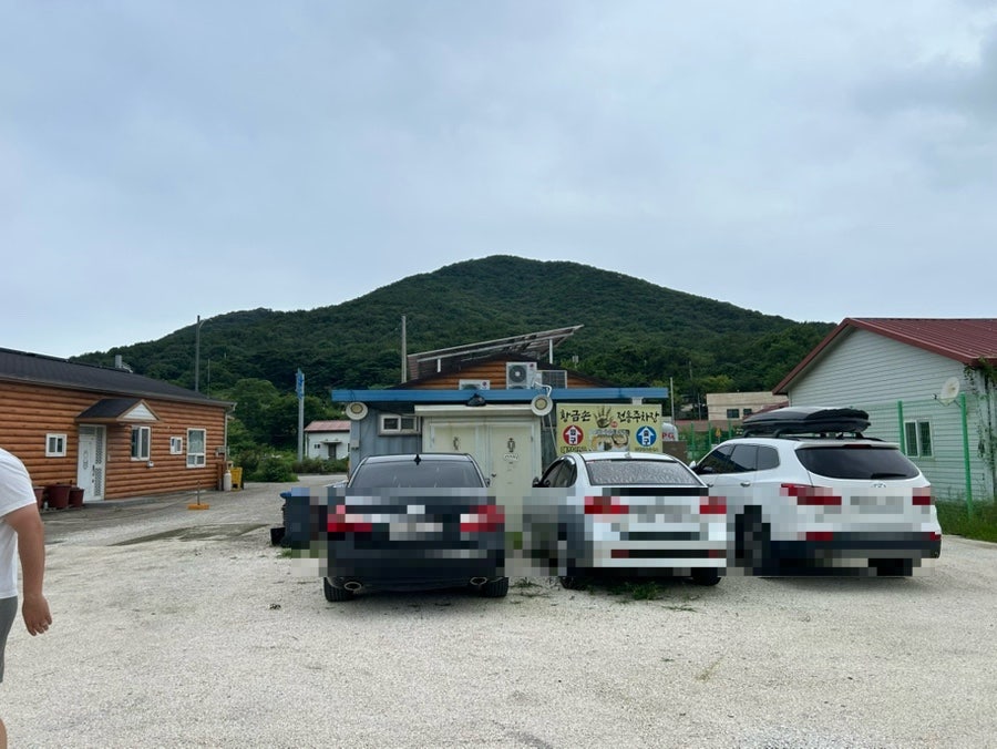 황금손해물칼국수 무의점 사진 3