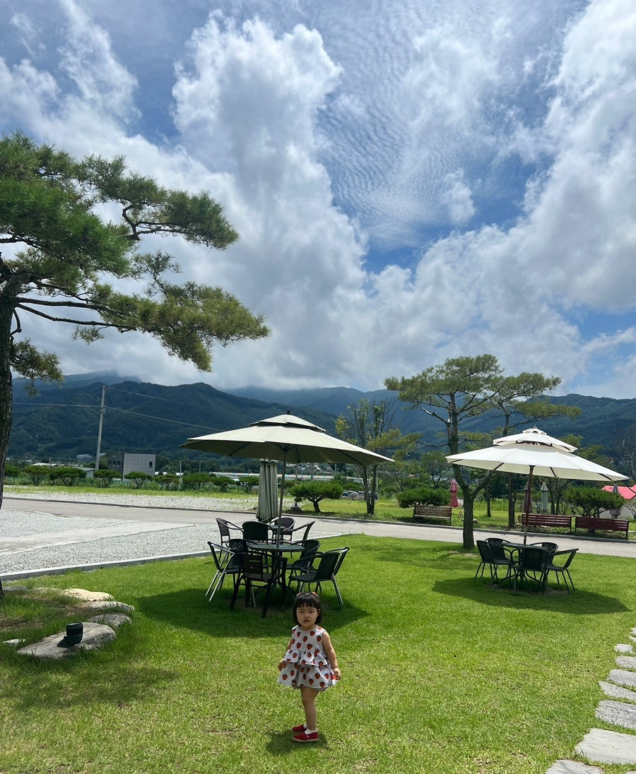 피네 사진 5