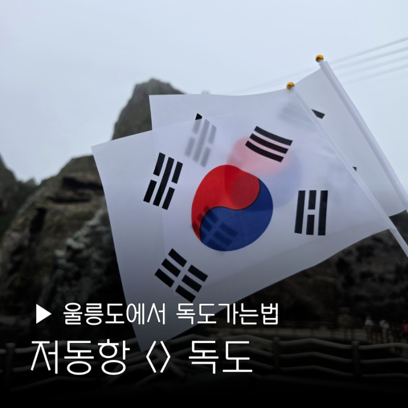 울릉도에서 독도가는법 저동항 배멀미 태극기 할인 독도명예주민증 꿀팁 추천