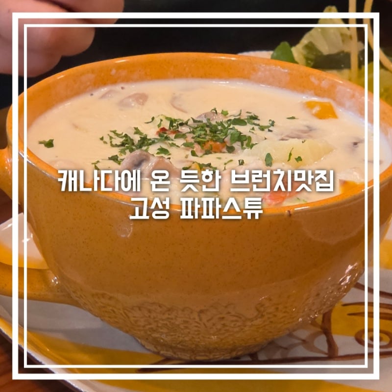 강원도 고성 브런치 맛집 파파스튜, 천진해수욕장 근처 아침 맛집 내돈내산 주차
