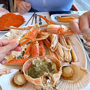 속초 대게 물회 추천 대포항 카시아 호텔 근처 맛집 '대포항 머구리 횟집' 솔직 후기