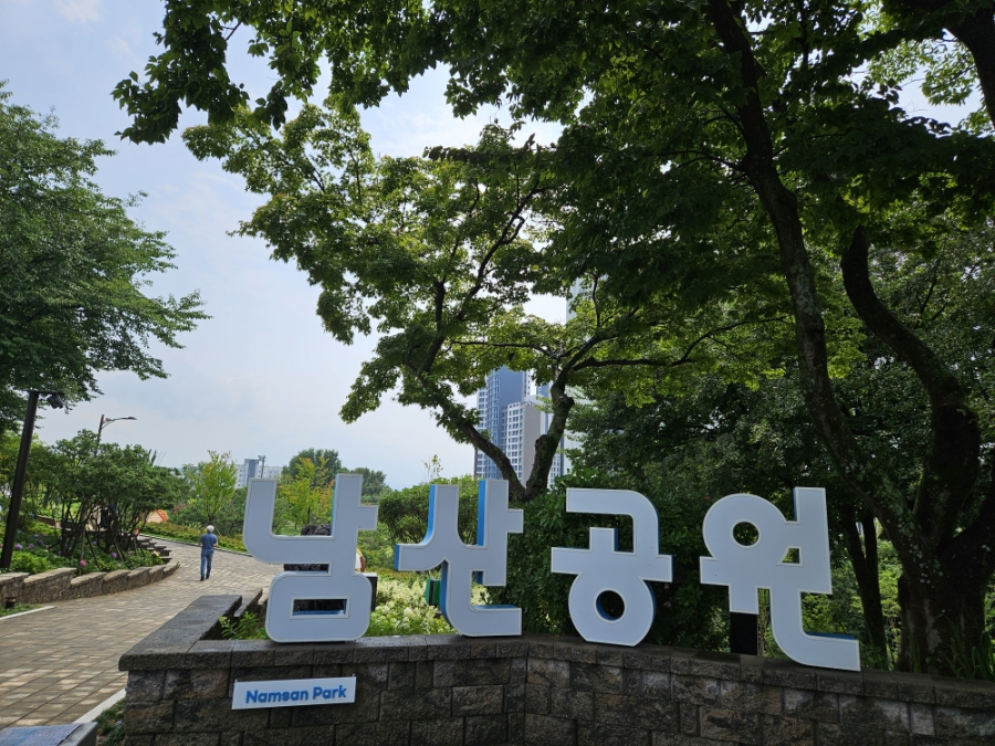 남산 사진 3