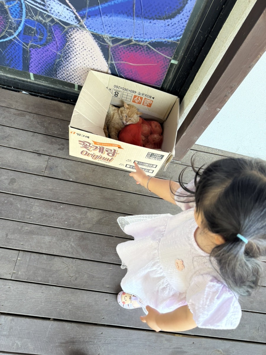 석모로푸드카페 사진 3