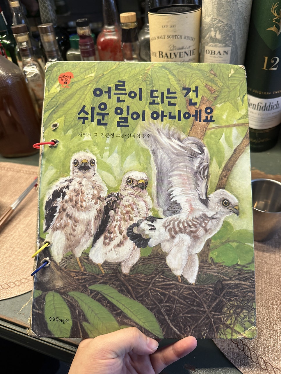 우이 사진 5
