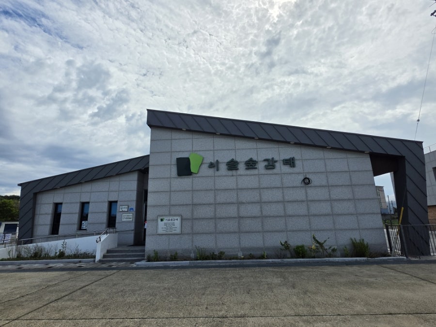 고파도 사진 6