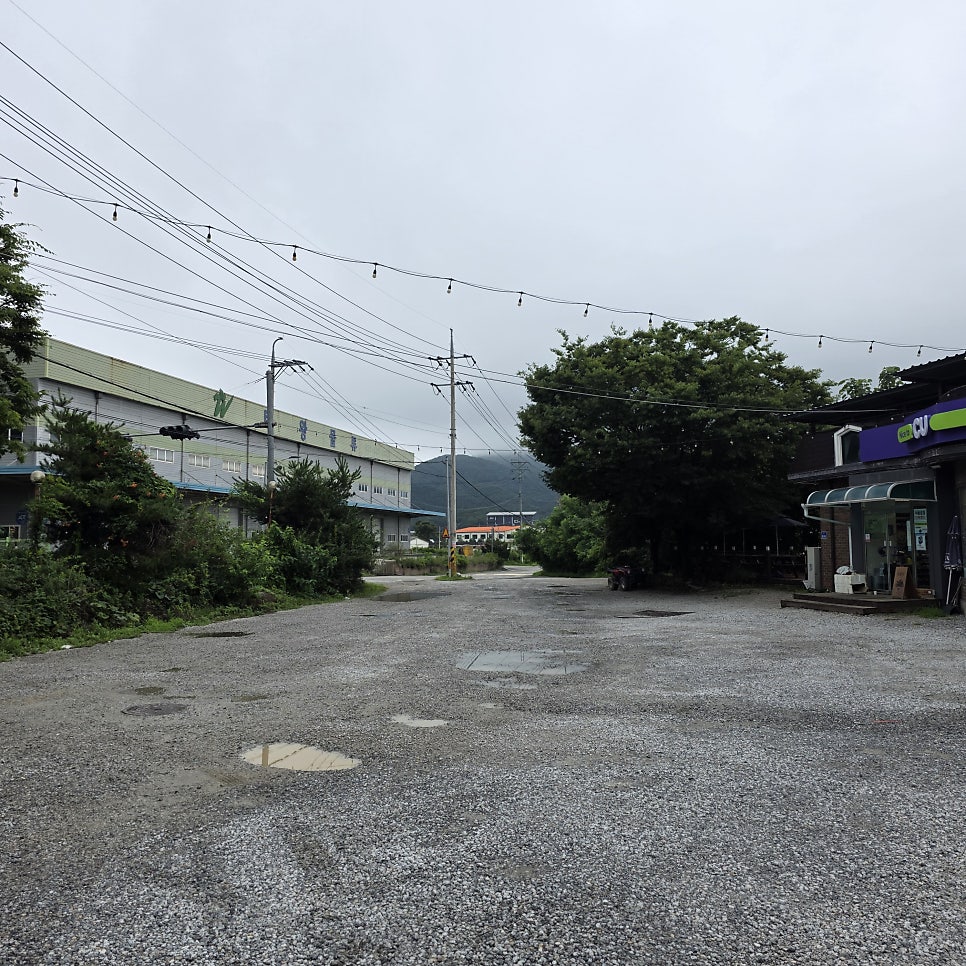 또바기 사진 3