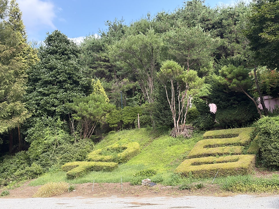 우림정원 사진 4