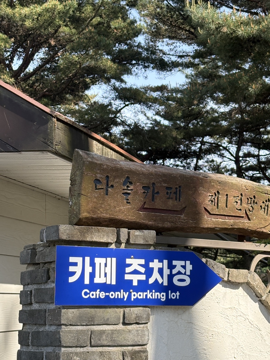 카페다솔 사진 2