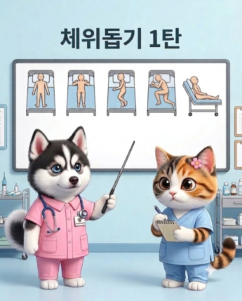 [2026 간호조무사 국시 실기] 체위돕기 1탄｜앙와위·복위·측위·심스체위·파울러씨 체위 쉽....