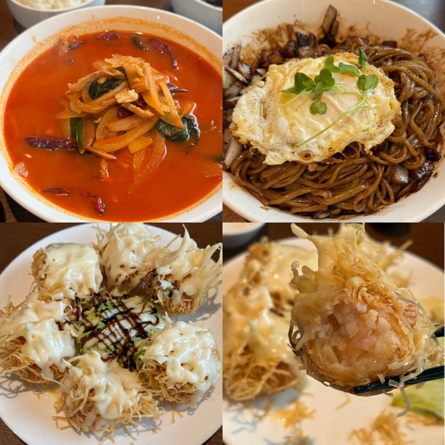 시시 사진 1