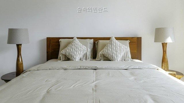 숲속의핀란드 사진 4