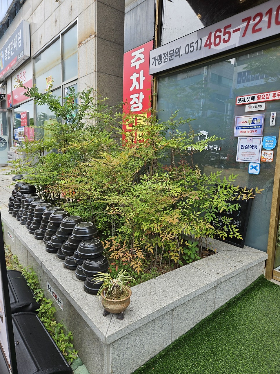 영주동삼대복국 사진 3