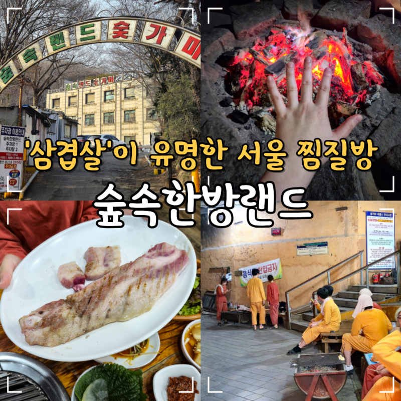 서울 대형 찜질방 추천 신촌 데이트 놀거리 숲속한방랜드