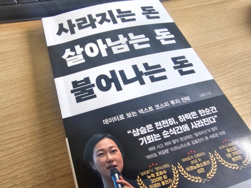 [책]사라지는돈 살아남는 돈 불러나는 돈/김효진 - 낙관 혹은 비관