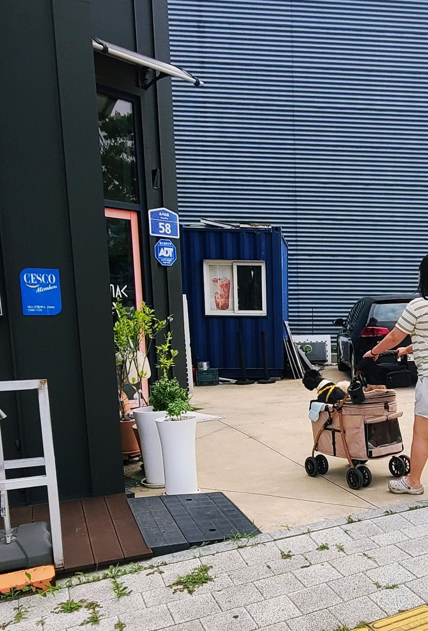 미끄마끄 사진 5