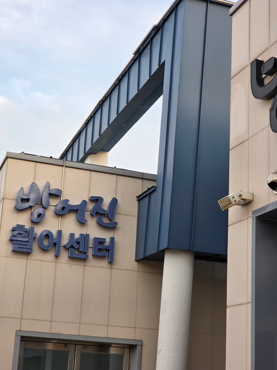 은빛해물 사진 2