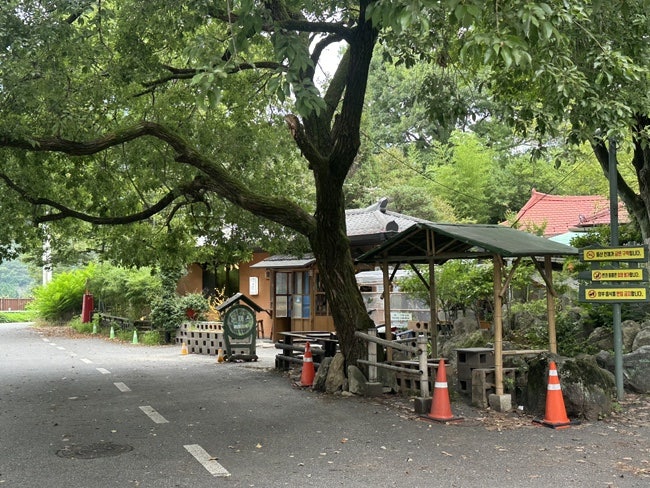 창화죽 사진 1