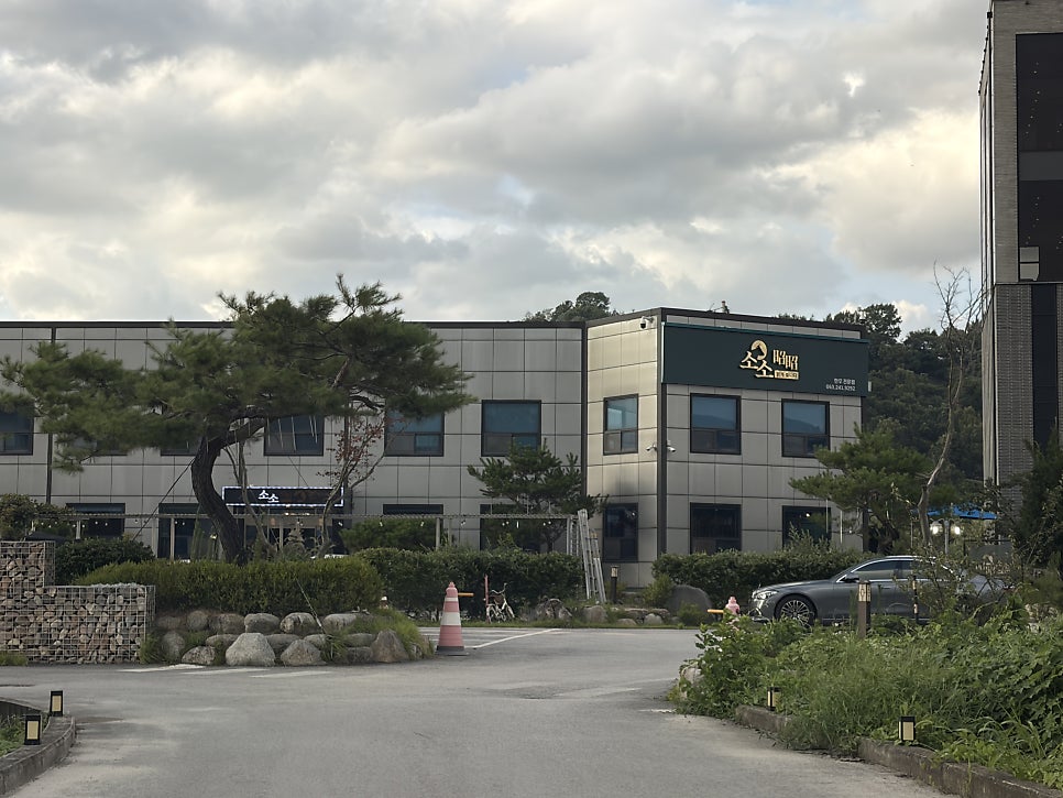 소소 사진 5