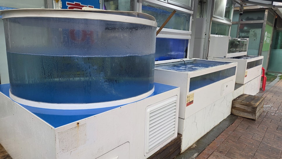 사천만회수산 사진 2