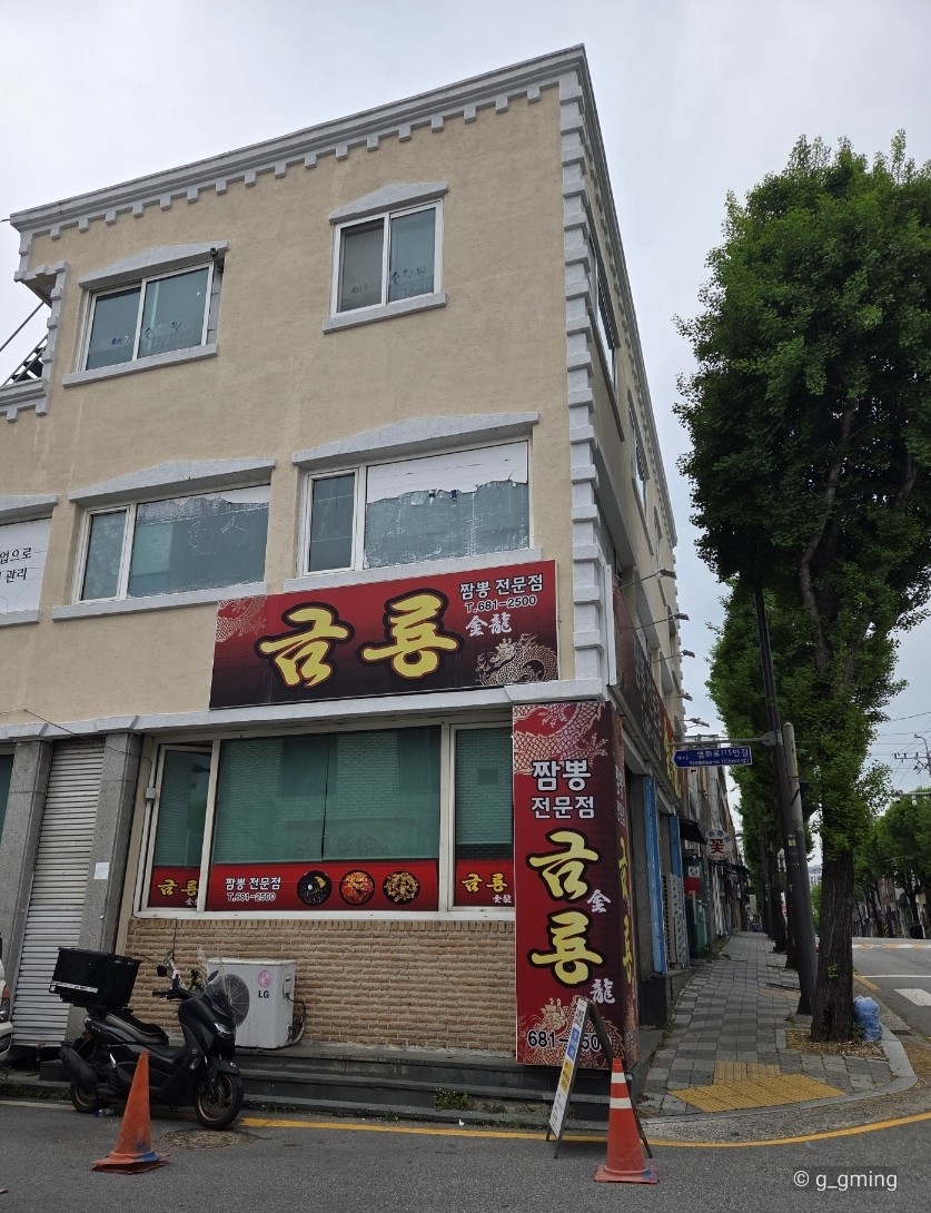 금룡 사진 1
