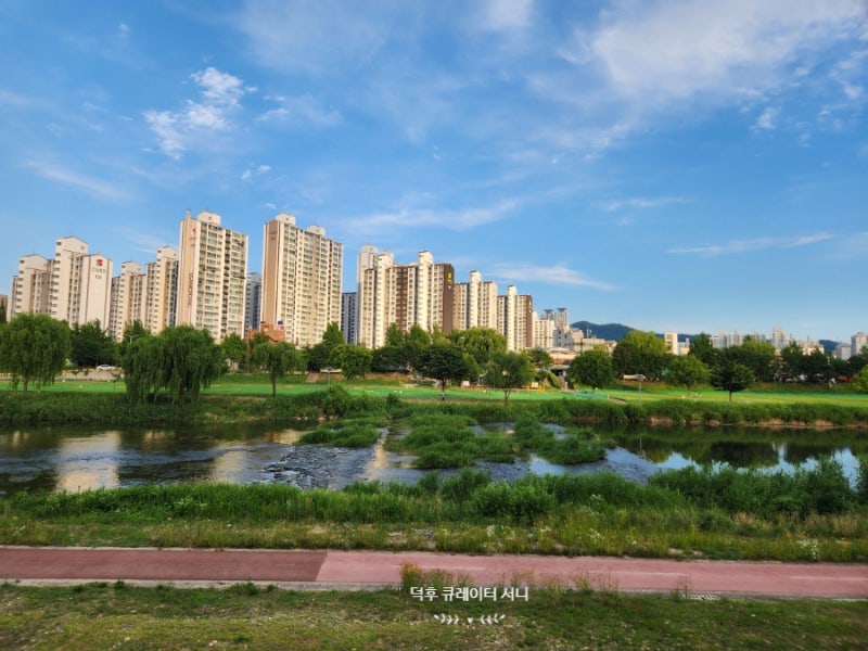 대전 유등천 러닝 산책로 코스 추천, 롯데백화점 근처 걷기 좋은 곳
