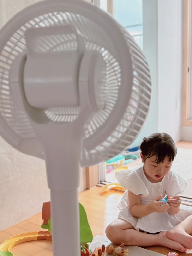 신일 선풍기 BLDC(무소음, 저소음) 서큘레이터 구매 후기