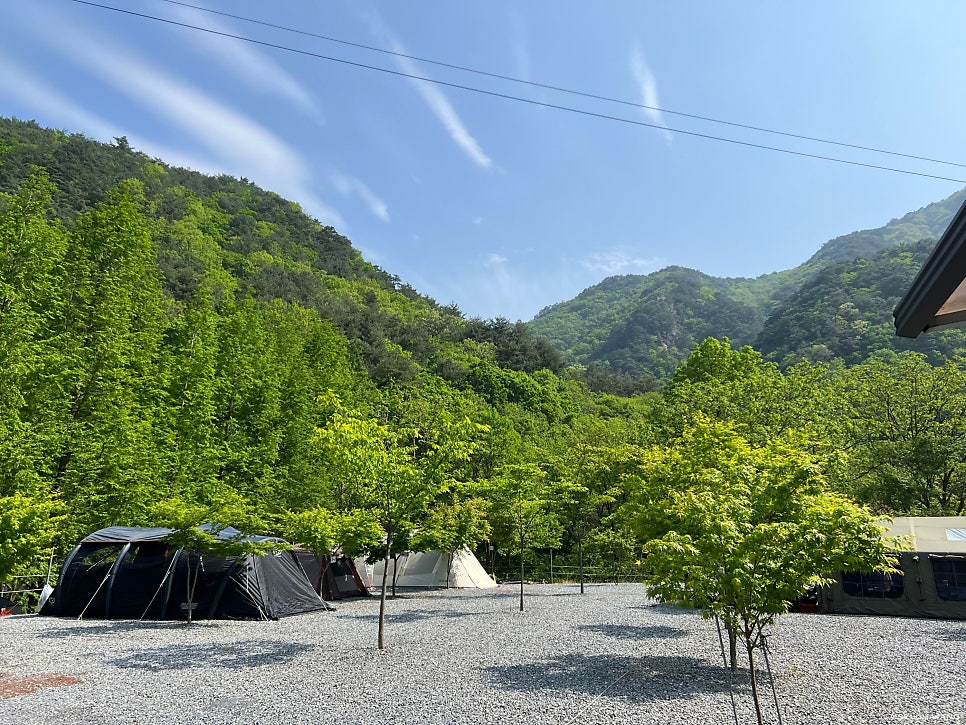 단양청정밸리캠핑장 사진 1