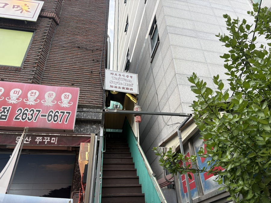 쨔요 사진 3