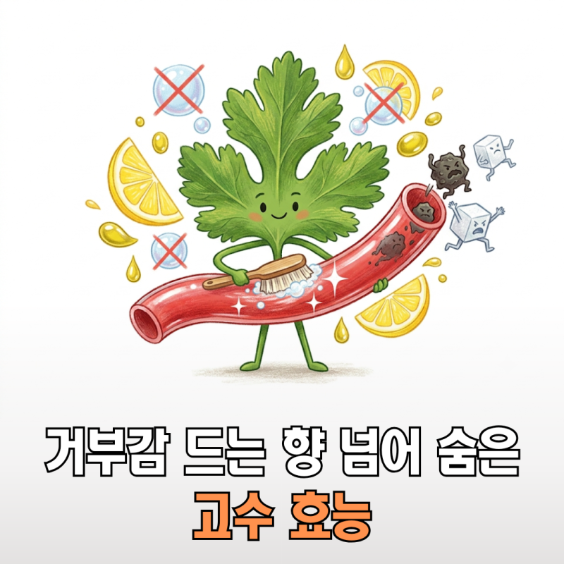 고수 효능 비누맛을 꾹 참고 먹어야 하는 3가지 치명적 건강 이점