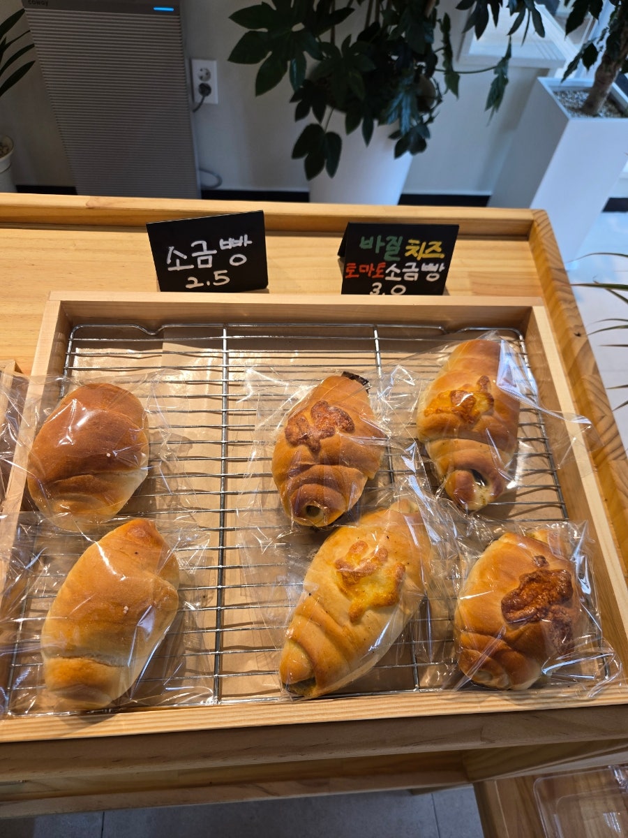 멜리브 사진 6