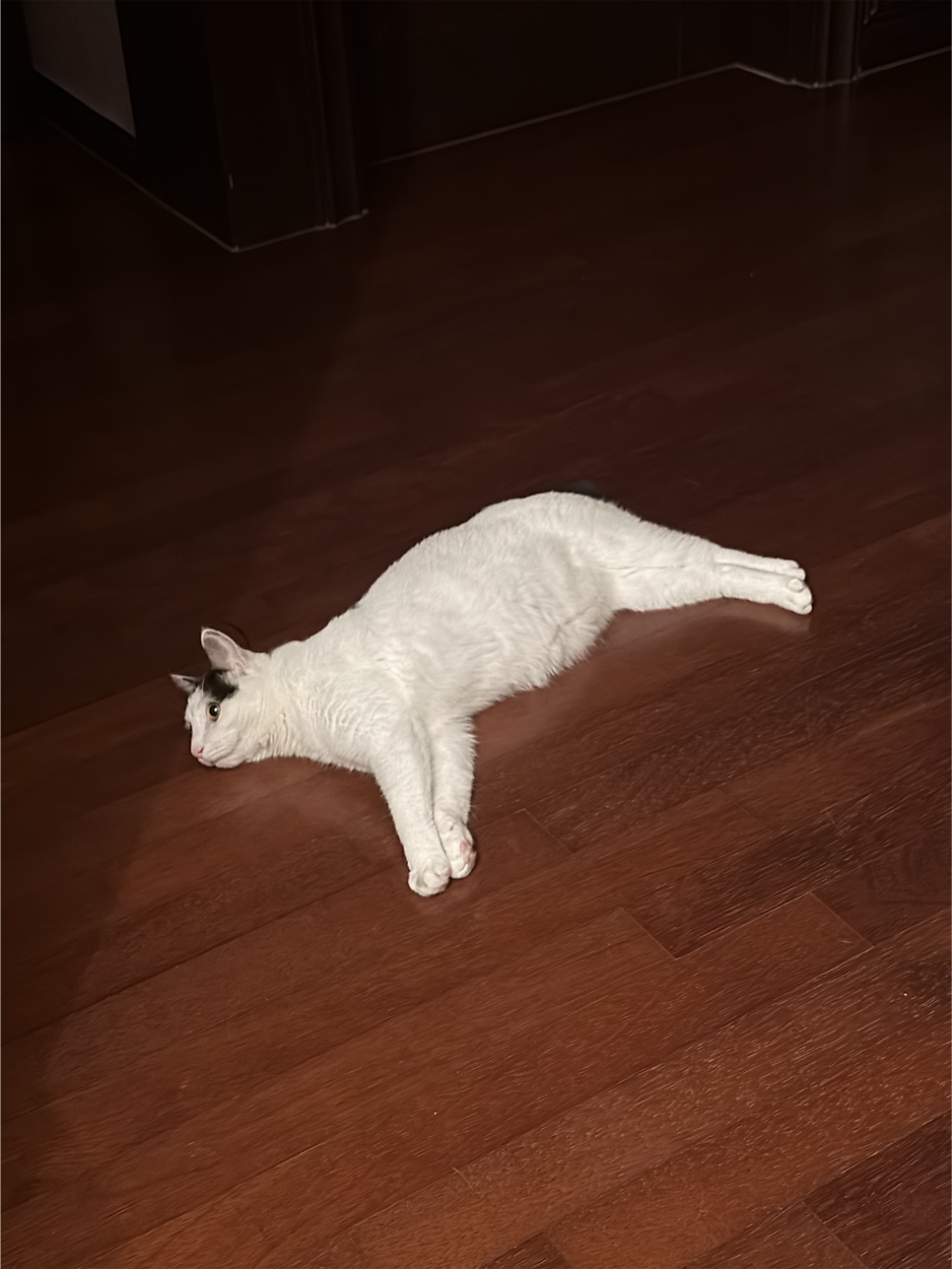 복만루 사진 5
