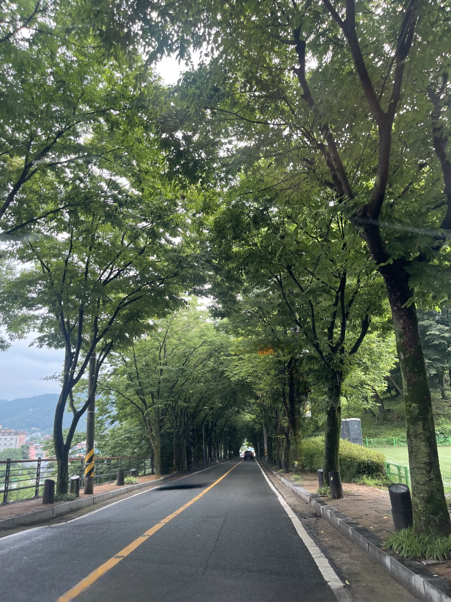 남산 사진 2