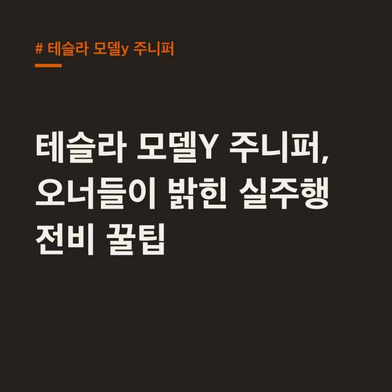 테슬라 모델Y 주니퍼, 오너들이 밝힌 실주행 전비 꿀팁