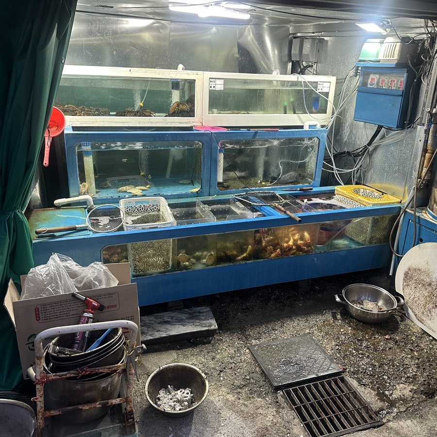 해물장터 사진 3