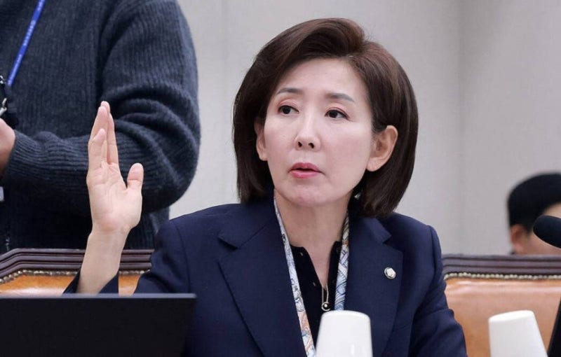 '尹 체포방해 혐의' 나경원·김기현, 특검 출석 통보에 결국 '불응'