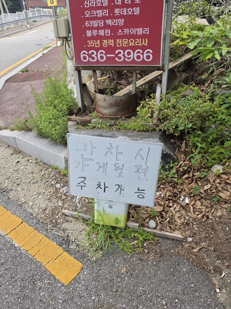 금룡 사진 4