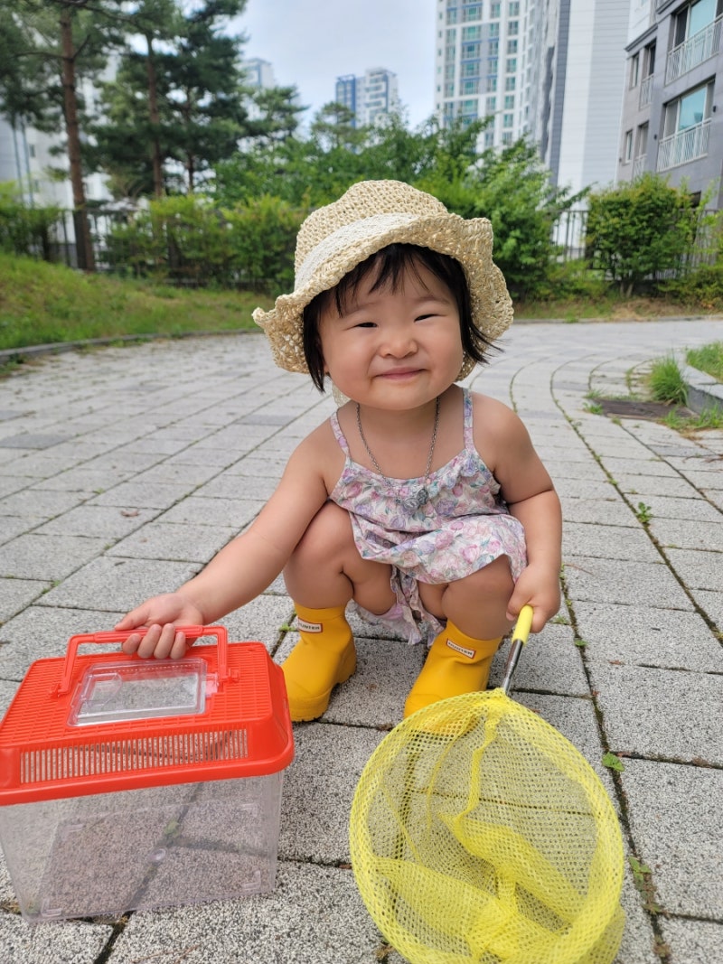 집에서 올챙이에서 개구리까지 키우기