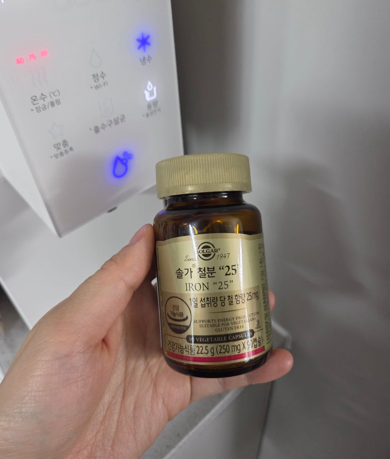 솔가 철분제 25 후기, 임산부 시절부터 꾸준히 먹는 철분 영양제 추천! 빈혈 관리