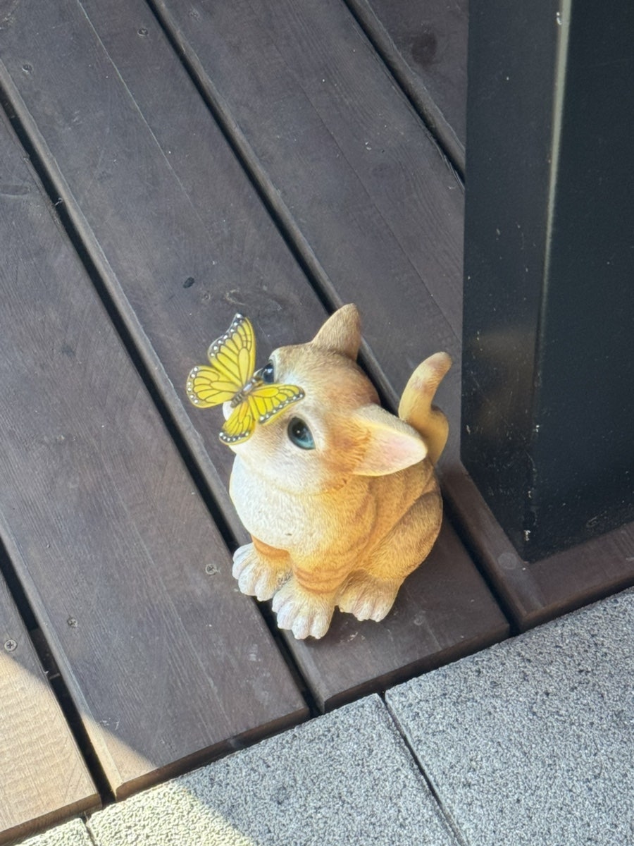 나루터 사진 6