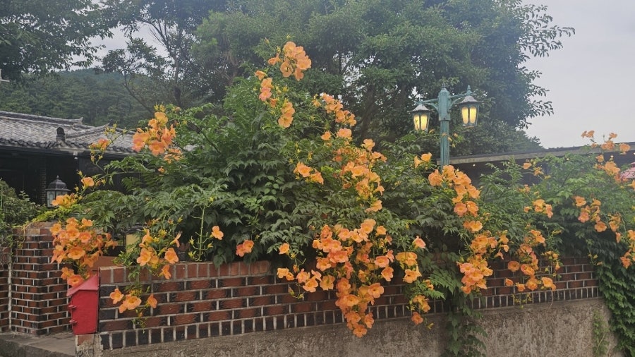 신의한근 사진 3