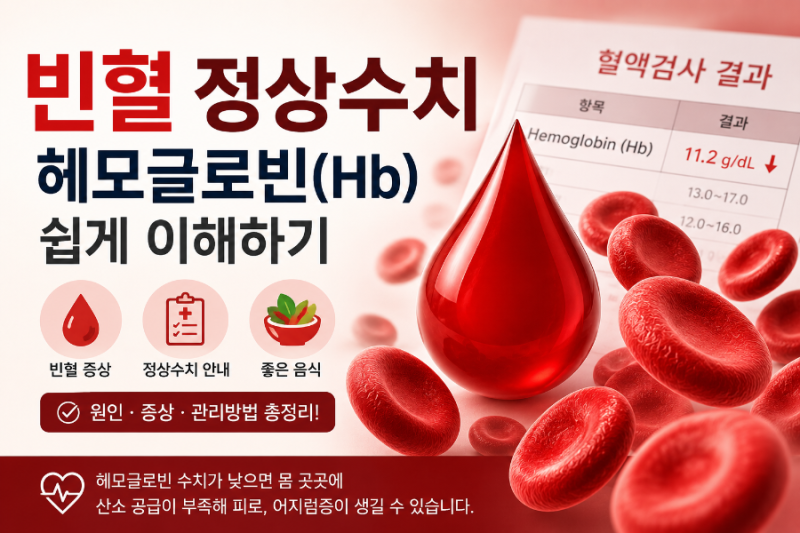 빈혈 정상수치! 헤모글로빈 수치부터 빈혈 증상·좋은 음식까지 총정리