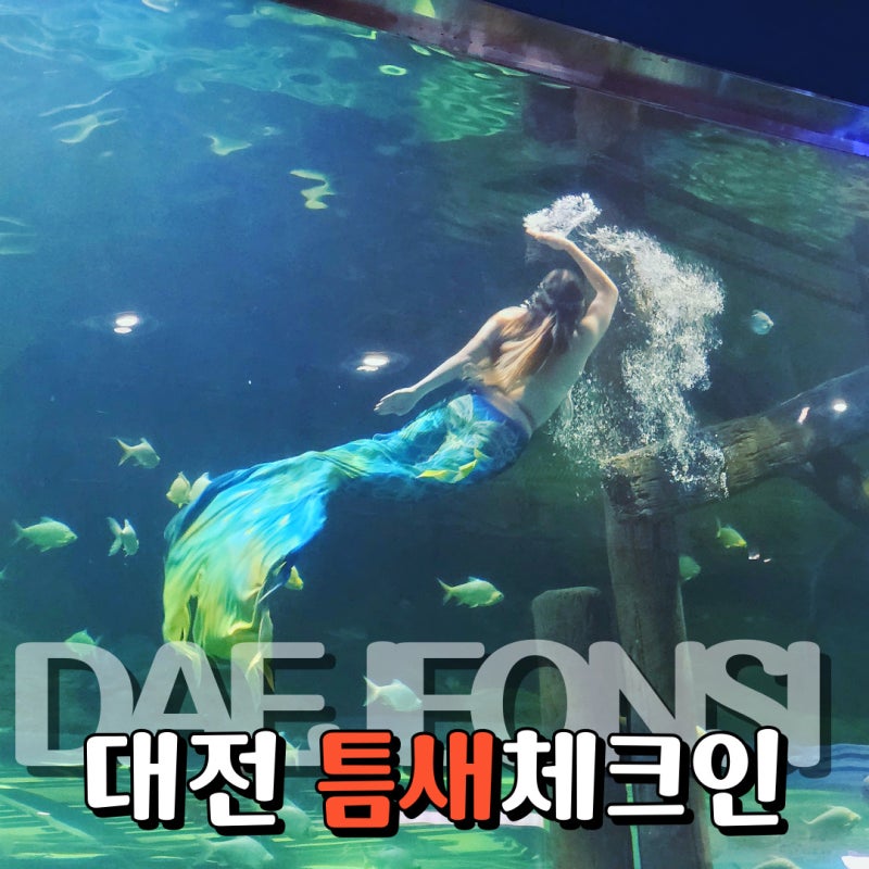 대전 아쿠아리움 보문산 할인 인어공주 시간 정보