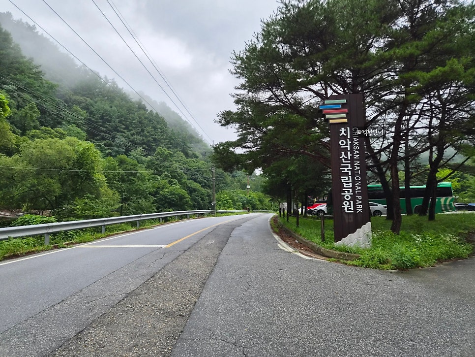 금대계곡 사진 5