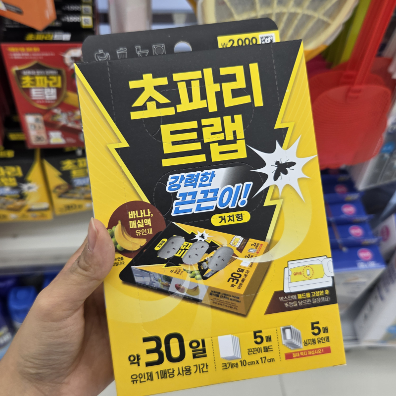 다이소 추천템 초파리 트랩 반나절만에 없애는법