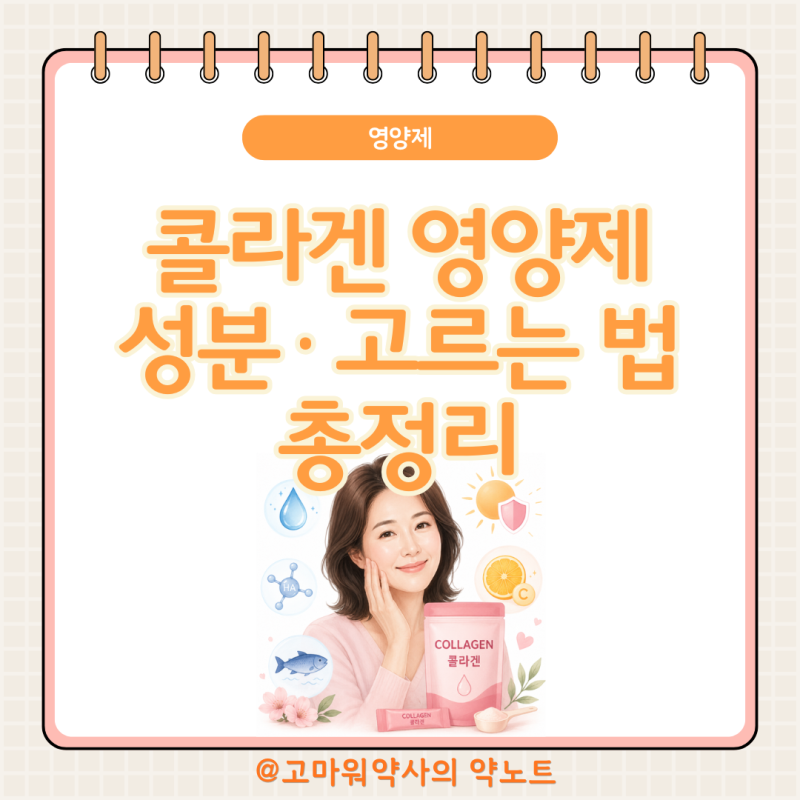 콜라겐 효능·부작용 약사가 정리, 저분자콜라겐펩타이드부터 마케팅 오해까지