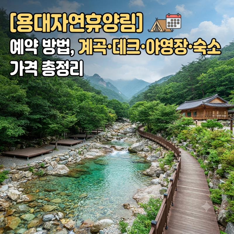 용대자연휴양림 예약 방법, 계곡·데크·야영장·숙소 가격 총정리