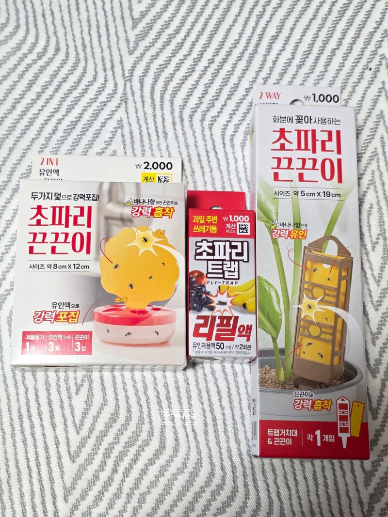 다이소 초파리 트랩 효과 있을까