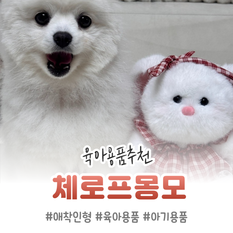 육아용품추천 출산선물추천 애착인형 '체로프 몽모-토몽' (구매꿀팁)